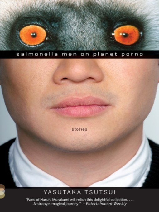 Cover image for Salmonella Men on Planet Porno